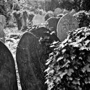 Highgate Cemetery, graves