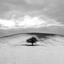 Beacon Hill, Bucks in the snow